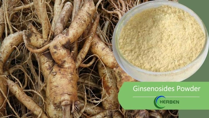 ginsenosides-powder-Herben ginsenosides-powder-Herben