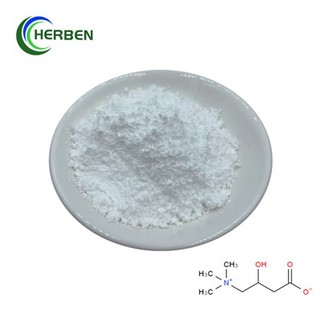 Чист L карнитин на прах