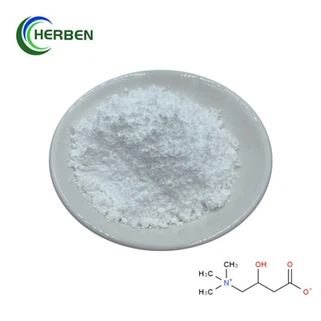 Сурови прахове L карнитин